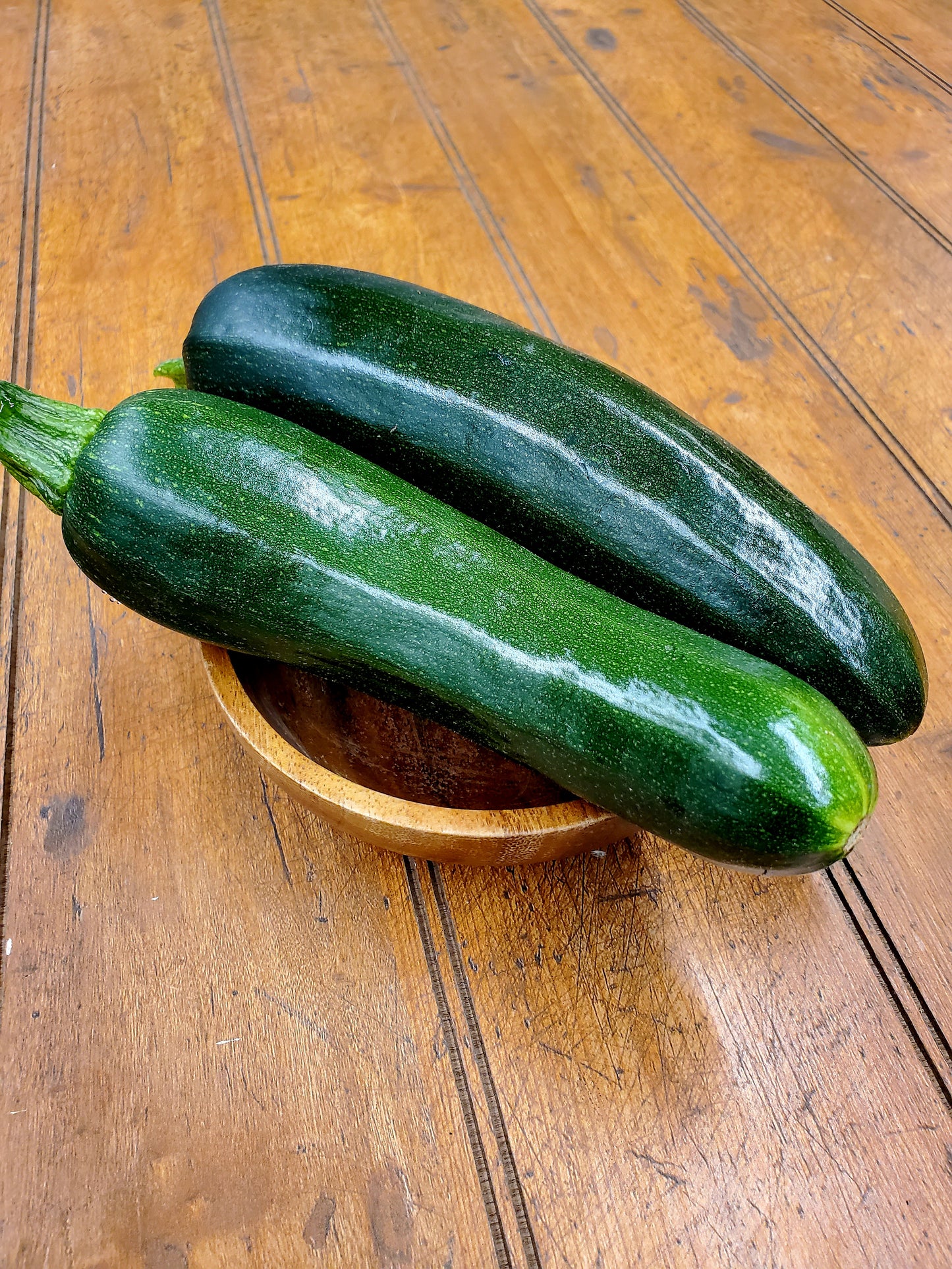 Zucchini - Single (1)