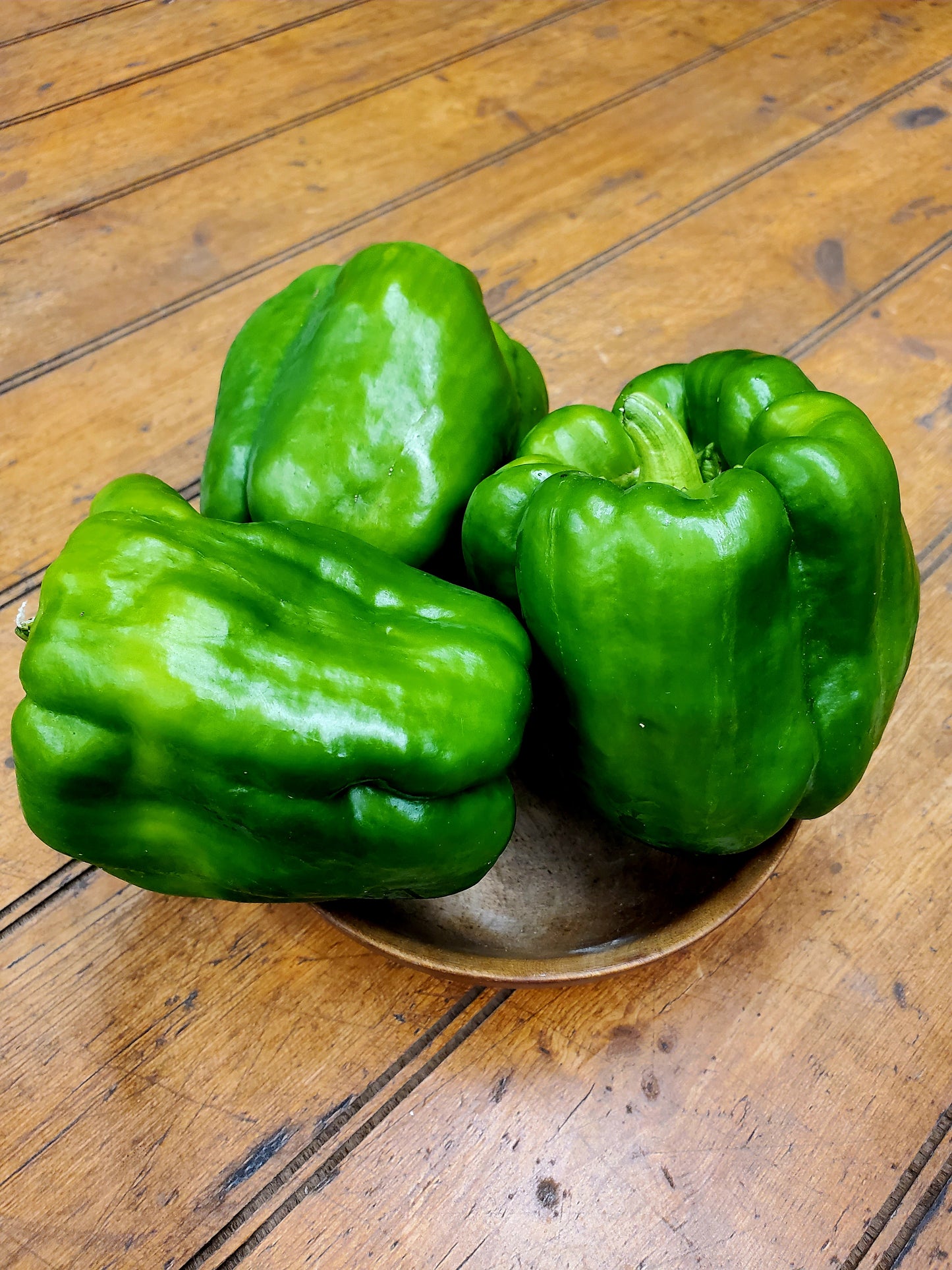 Peppers - Bell Green (1)