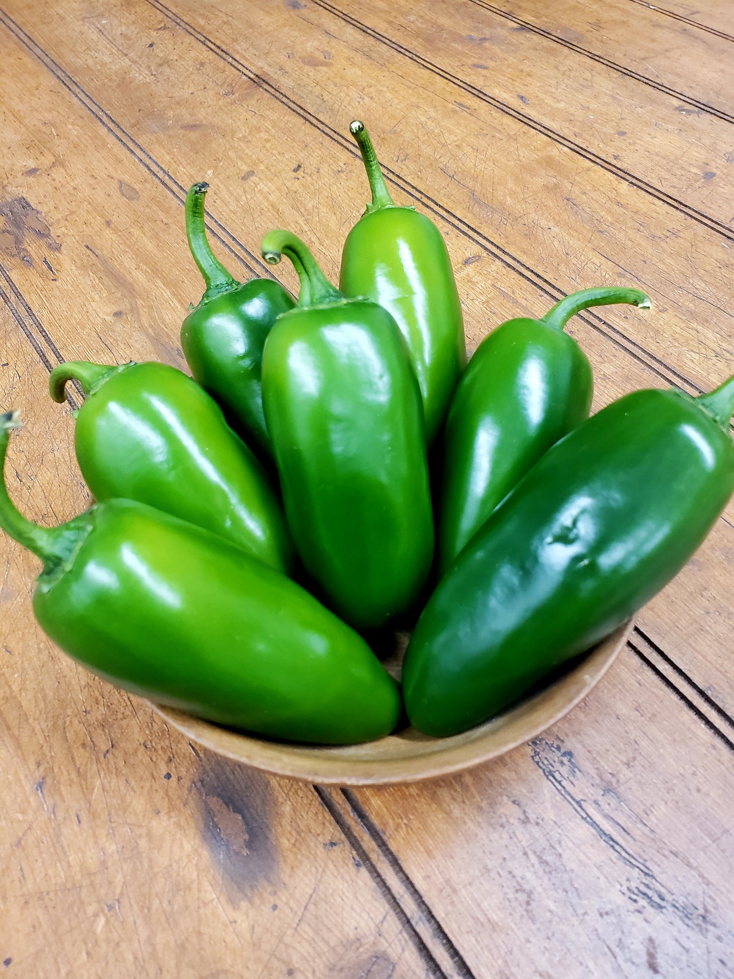 Peppers - Jalapeños Large Stuffing (Pint)