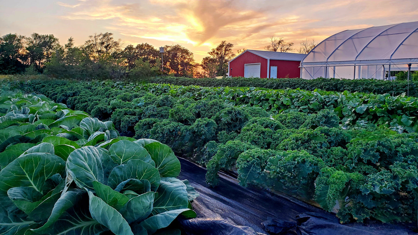 Online Market Gardening Consulting With Farmer Keith