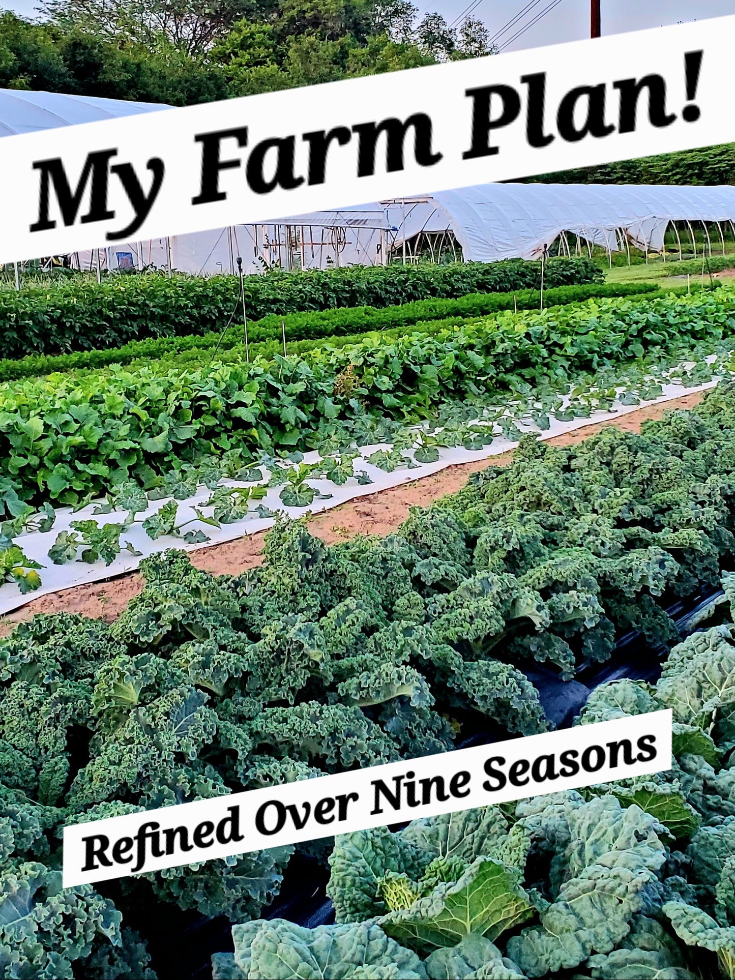 X Succession Planting Plan and Select Produce Variety List