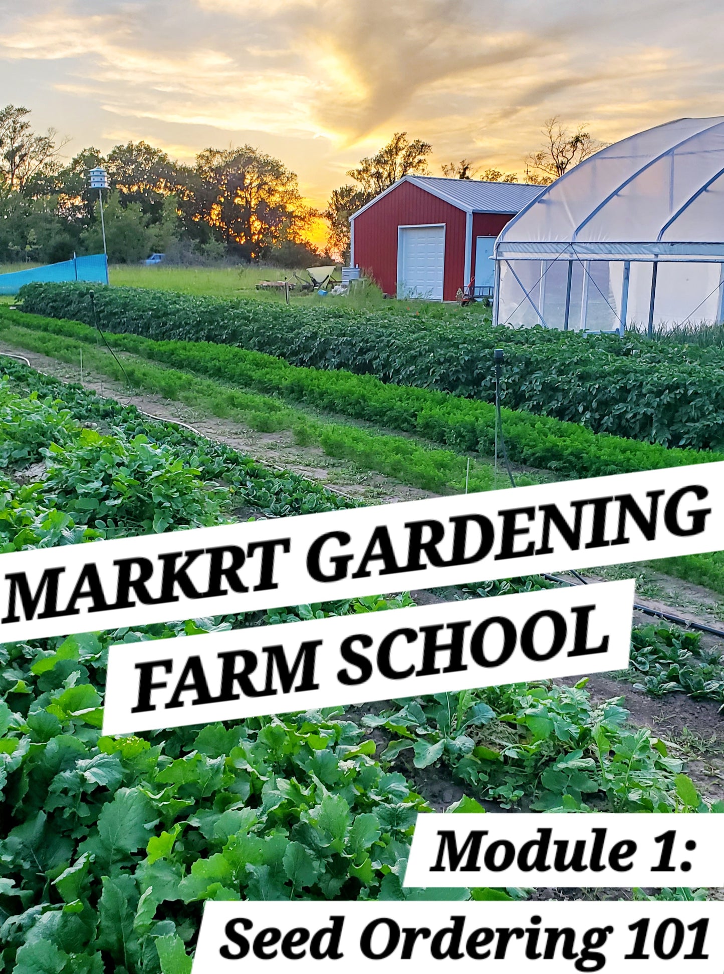 Market Gardening Farm School