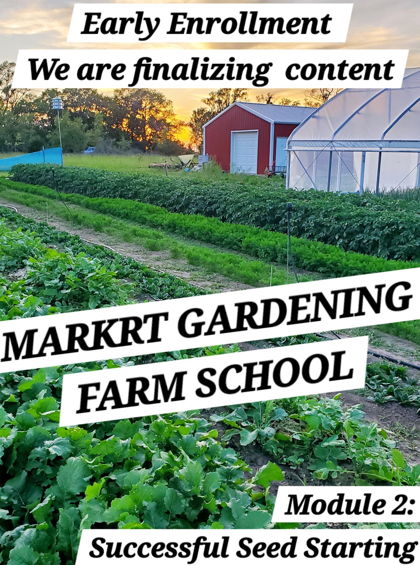 Market Gardening Farm School