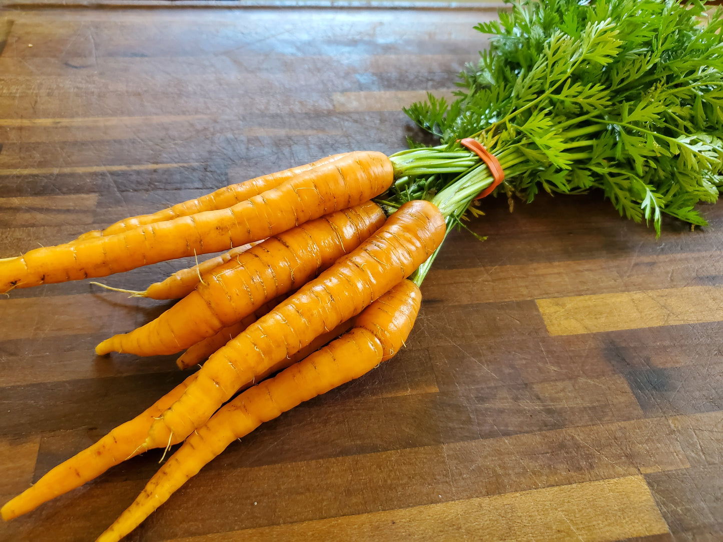 Carrot bunch (Topped bunch)