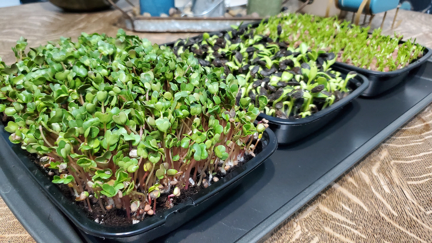X Microgreen Cost Analysis Spreadsheet (Excel/Google Sheets)