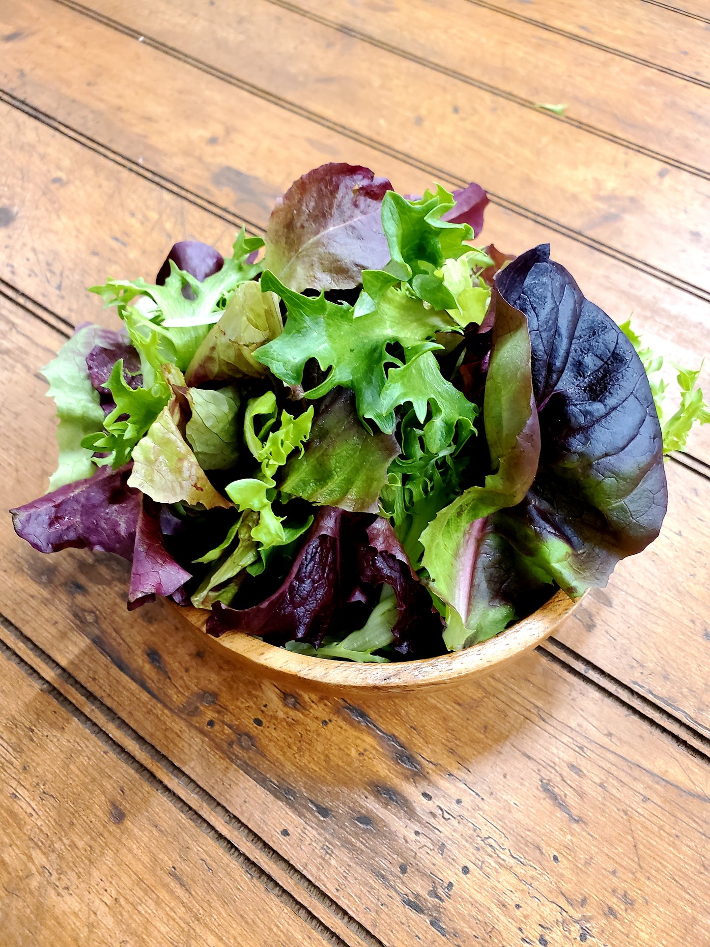 Salad Mix (Regular Size)