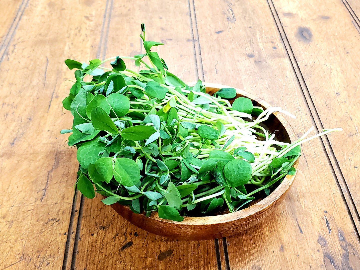 Microgreen - Sweet Pea Shoots
