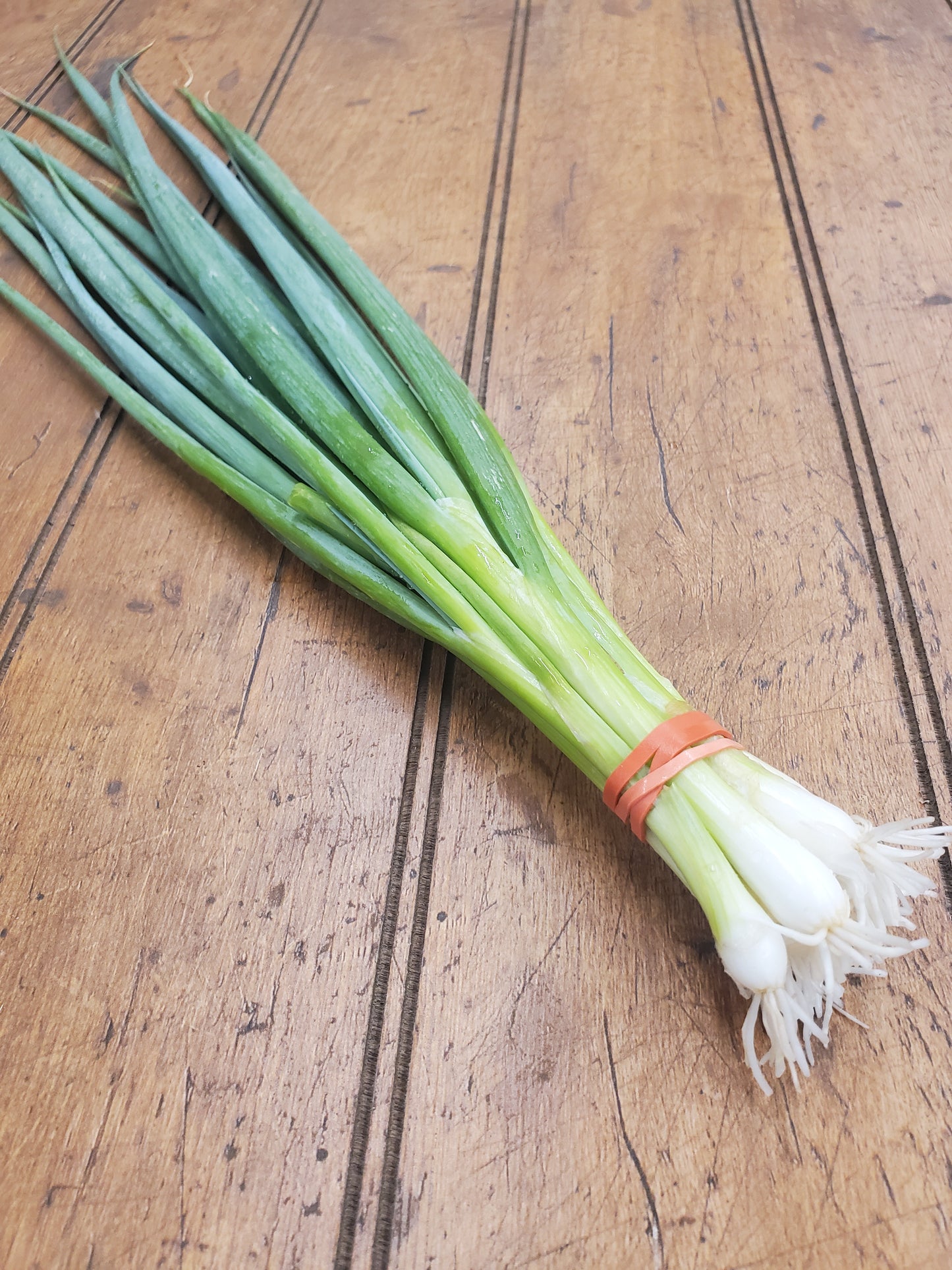 Spring Onions