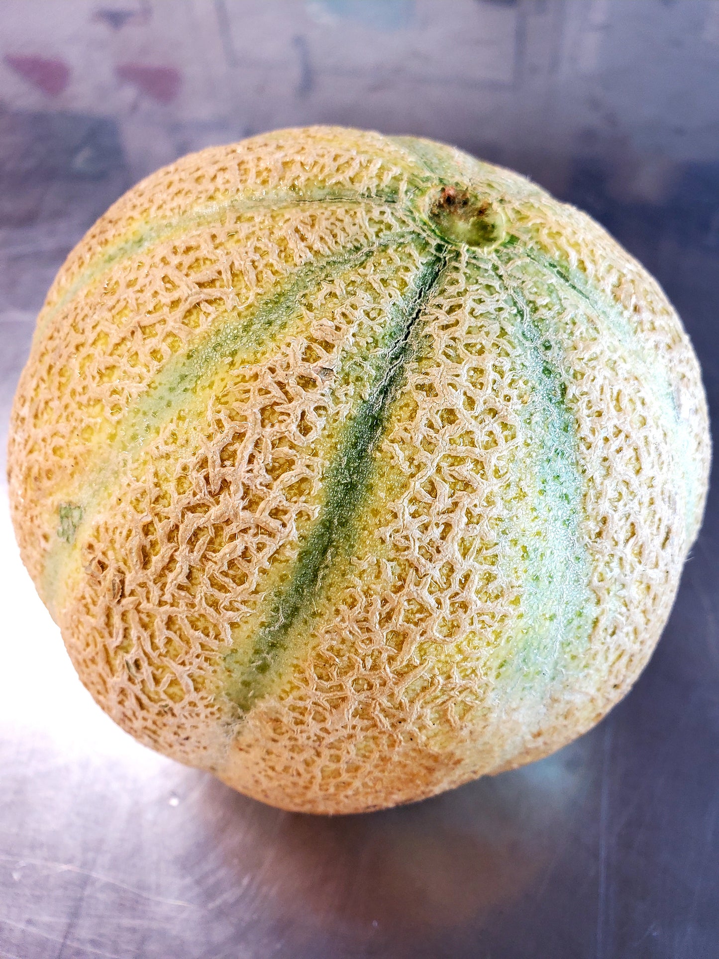 Cantaloupe - Arkenberg Heirloom