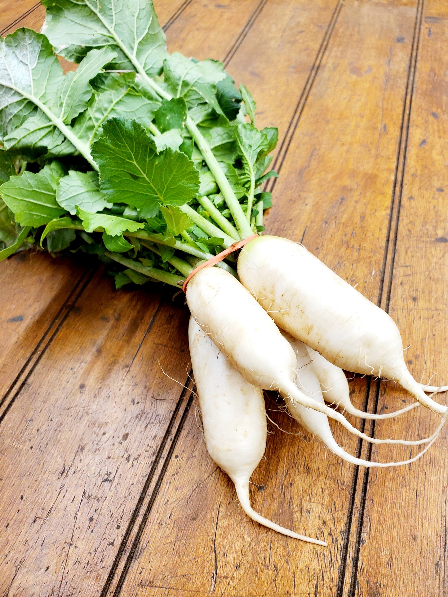Radishes - Daikon White, Purple ,or Mixed (1.25lb bag)