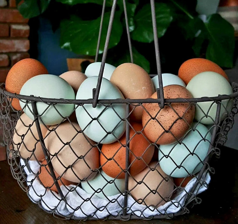 Farm Fresh Chicken Eggs