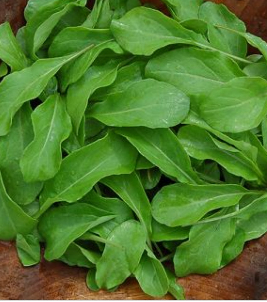 Arugula