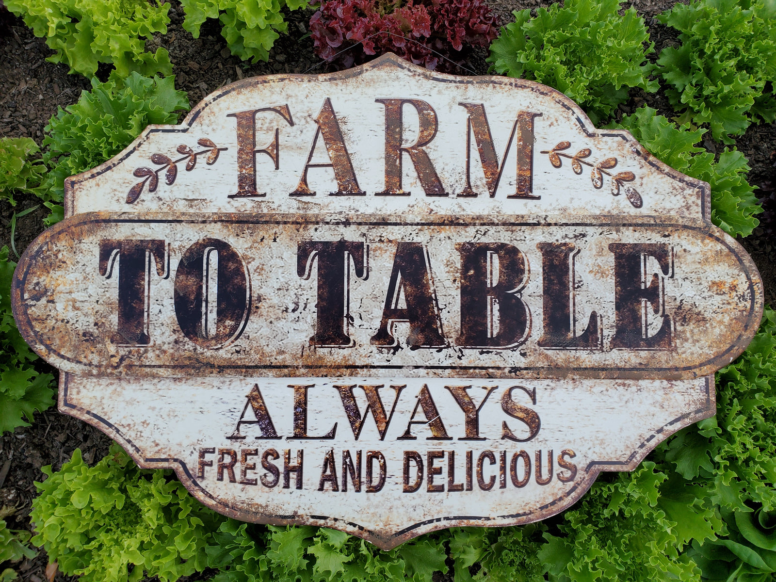 Arkenberg Farms Produce photo 10