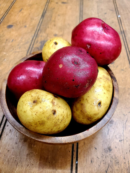 Potato CSA - (1.5 lbs)