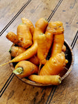 Carrots - Juicing / Stewing