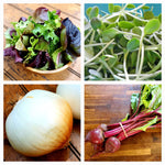 2023 Fall CSA Member Payment
