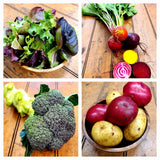 2023 Fall CSA Member Payment