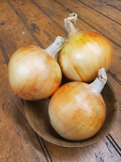 Onion CSA - Yellow (3 medium)