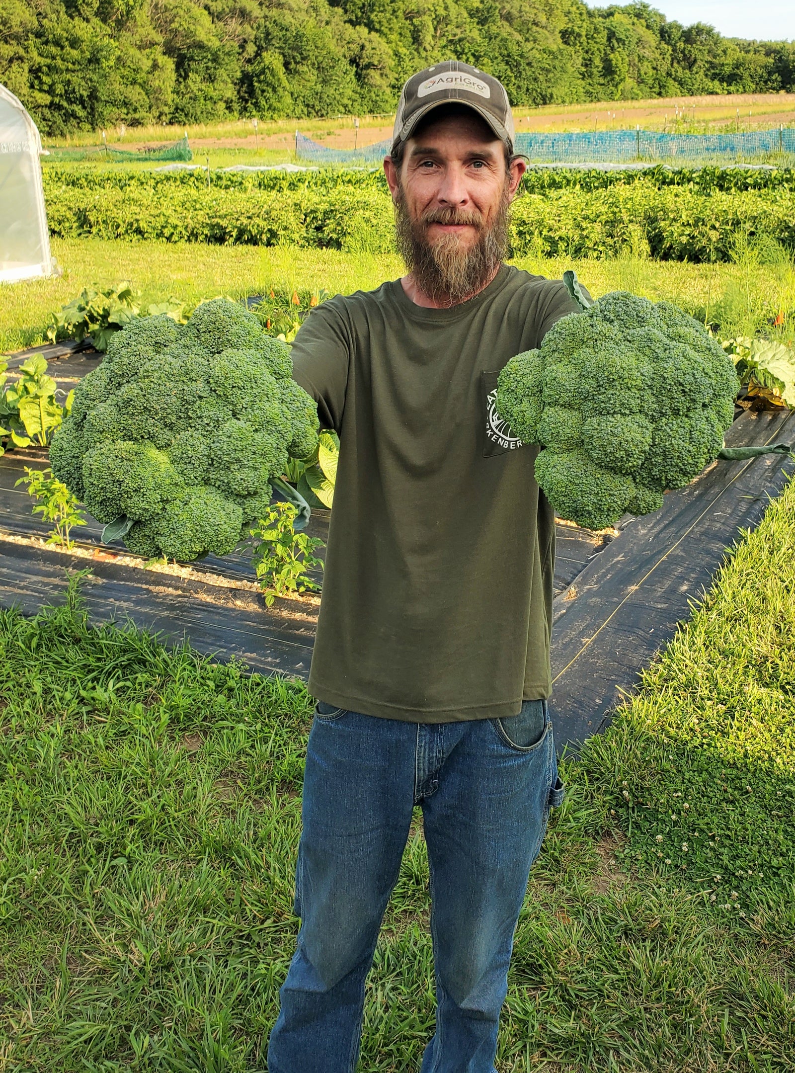 Arkenberg Farms Produce photo 4