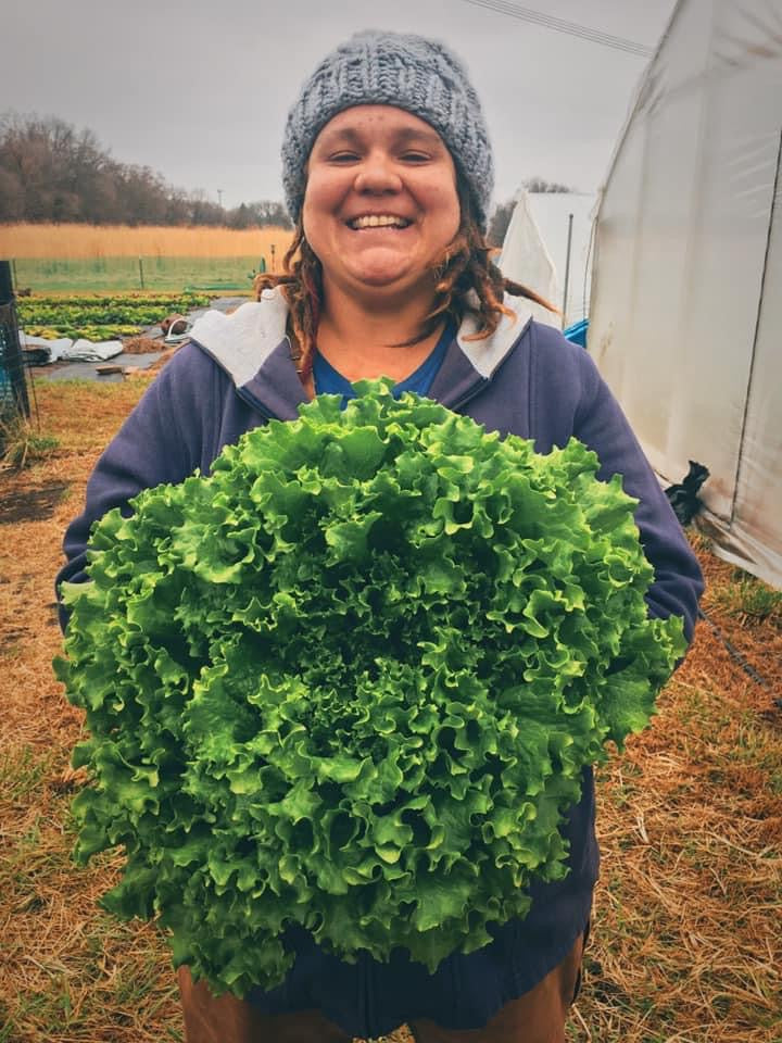 Arkenberg Farms Produce photo 3
