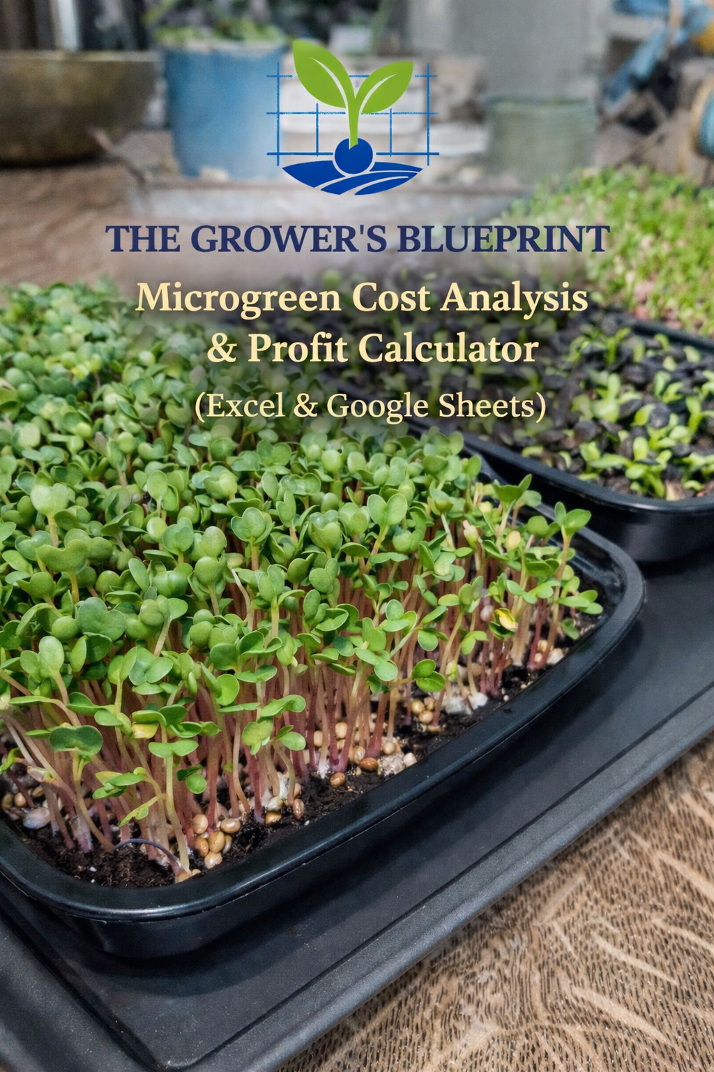 Microgreen Cost Analysis & Profit Calculator (Excel & Google Sheets)