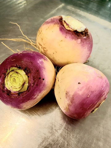 Turnips CSA- Purple Topped (3-4) (no tops)