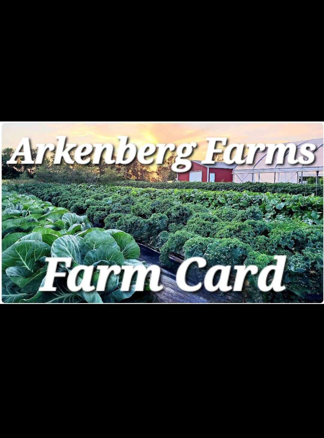 Arkenberg Farms Produce photo 19