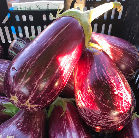 Eggplant CSA (2)