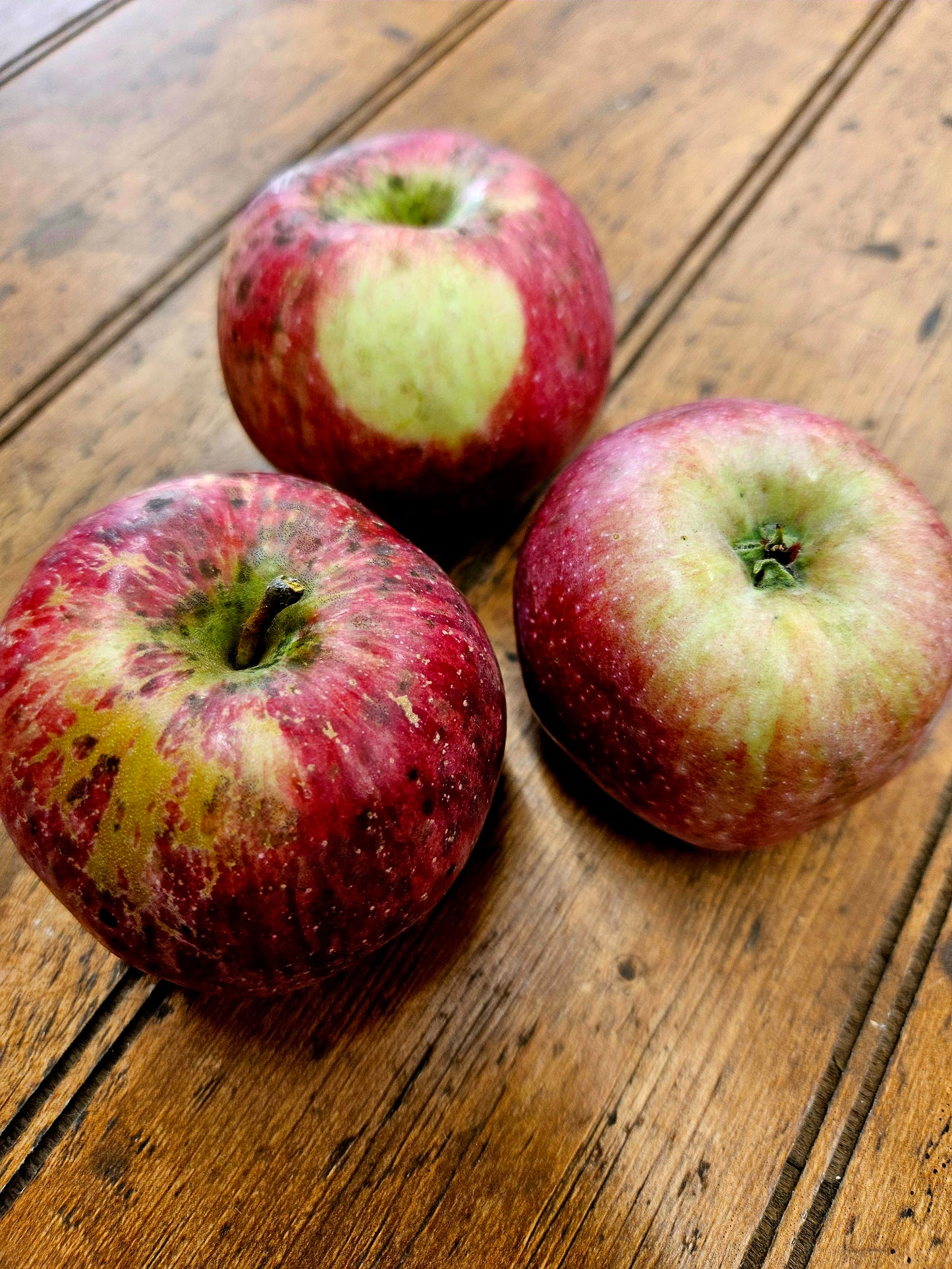 Apple (3) - NEVER SPRAYED