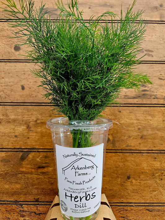 Herbs - Dill