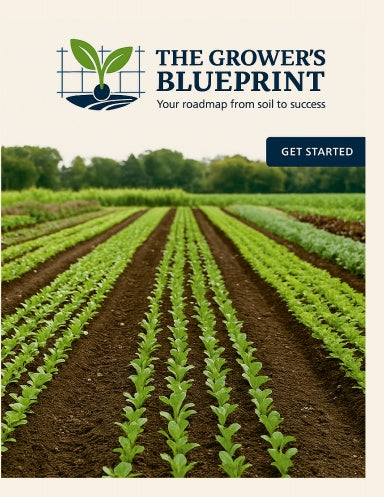 Book Cover Variant Thumbnail