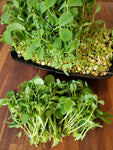 Grow Your Own - Crunchy Mix