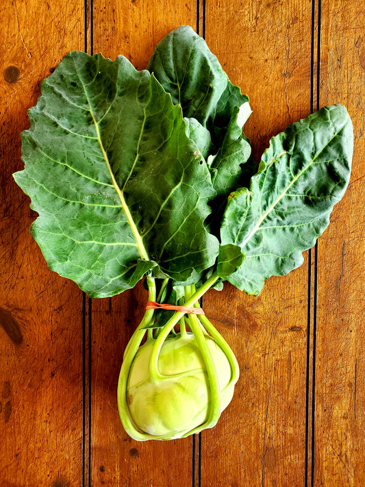 Kohlrabi