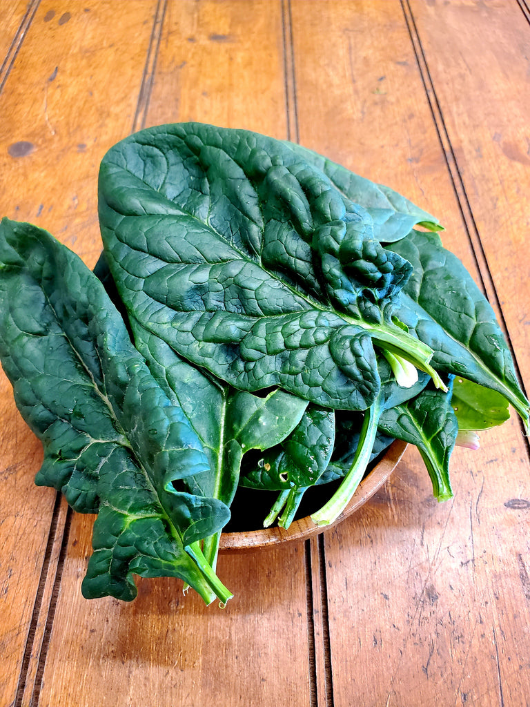 Blue spinach online bags