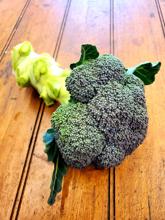 Broccoli