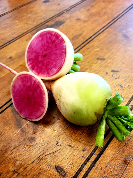 Radishes - Watermelon (3-5 or about 1.25 lb)