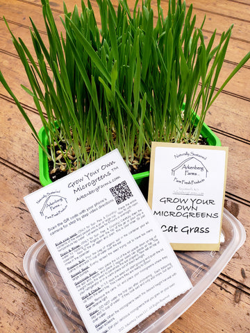 Grow Your Own - Cat Grass