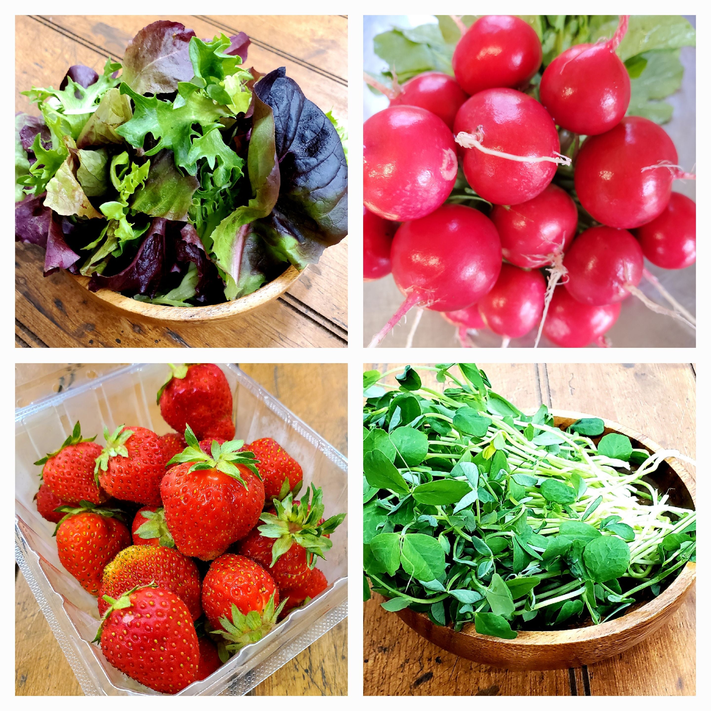 All Produce & Farm Goods – Arkenberg Farms
