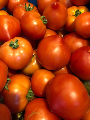 Tomato - Slicer